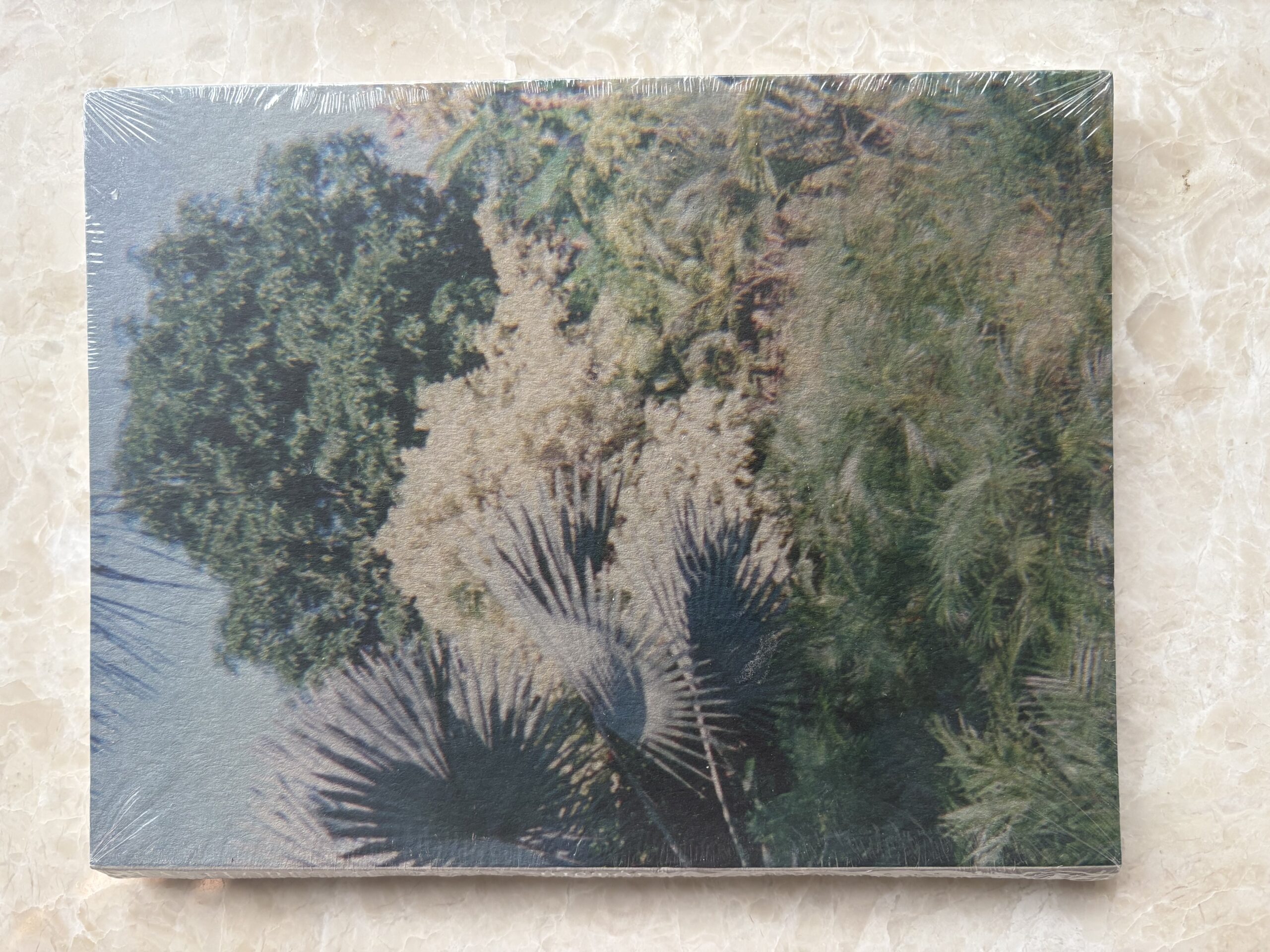 Cristóbal Ascencio - Las flores mueren dos veces