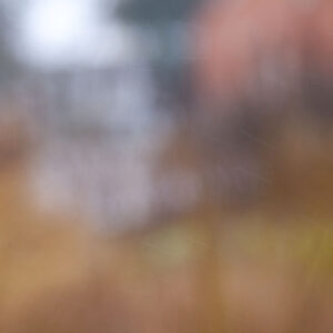 Pascale Leenders - Lucid Dreams #3
