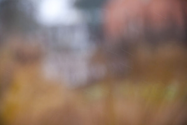 Pascale Leenders - Lucid Dreams #3