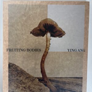 Ying Ang - Fruiting Bodies