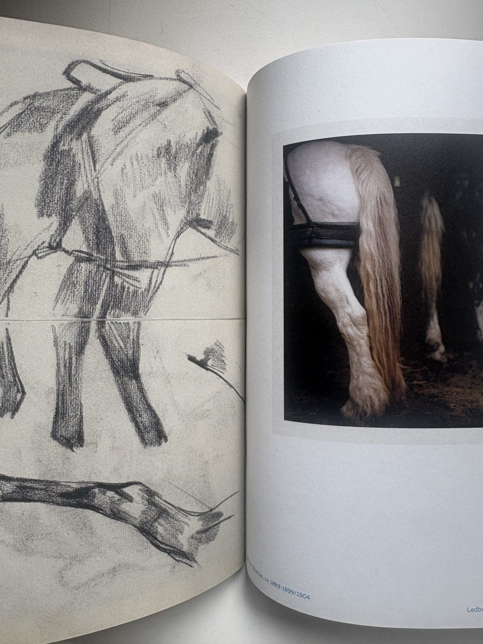 Dragers. Horse Dtawn, Charlotte Dumas - Image 2