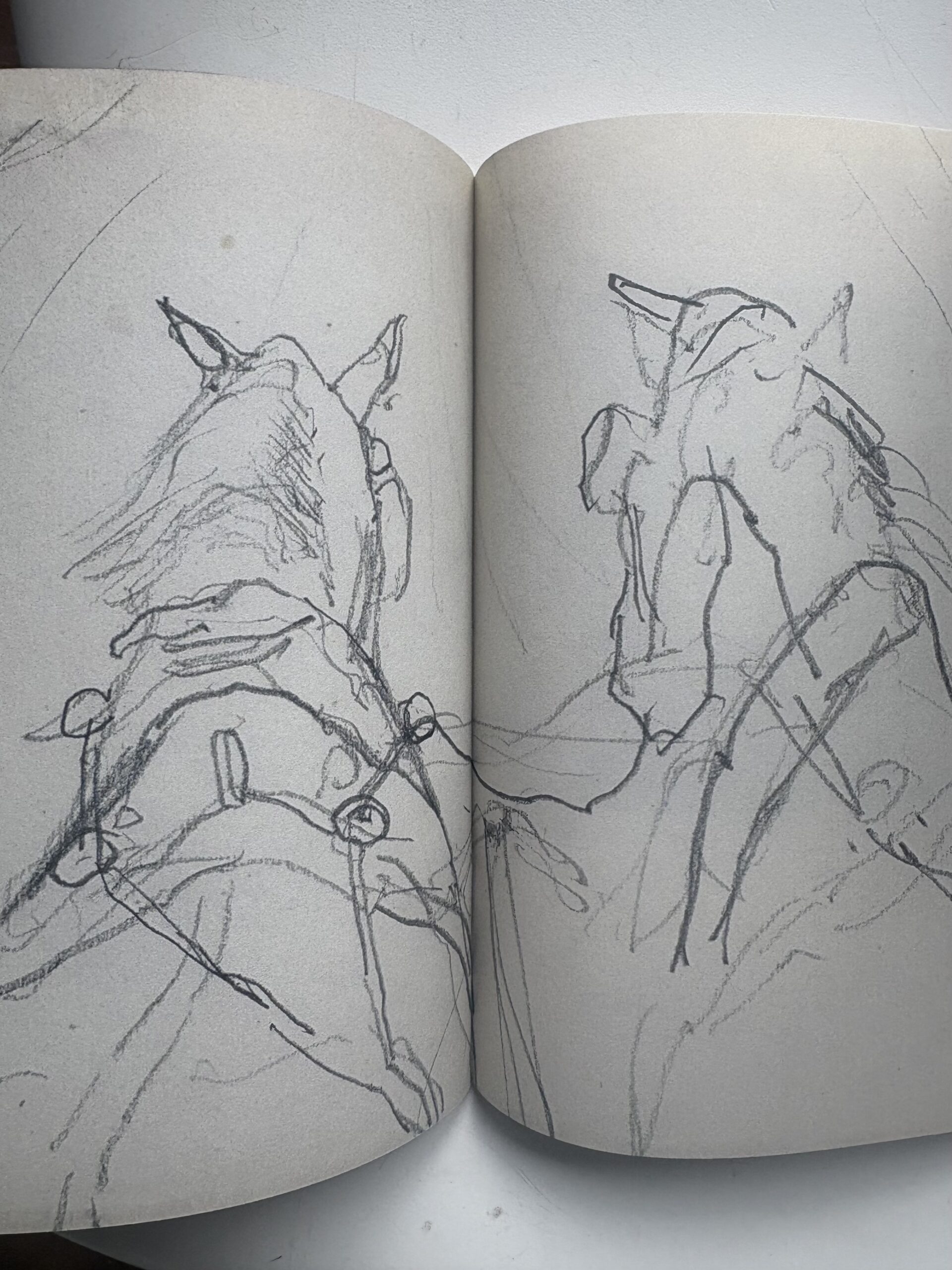 Dragers. Horse Dtawn, Charlotte Dumas - Image 3