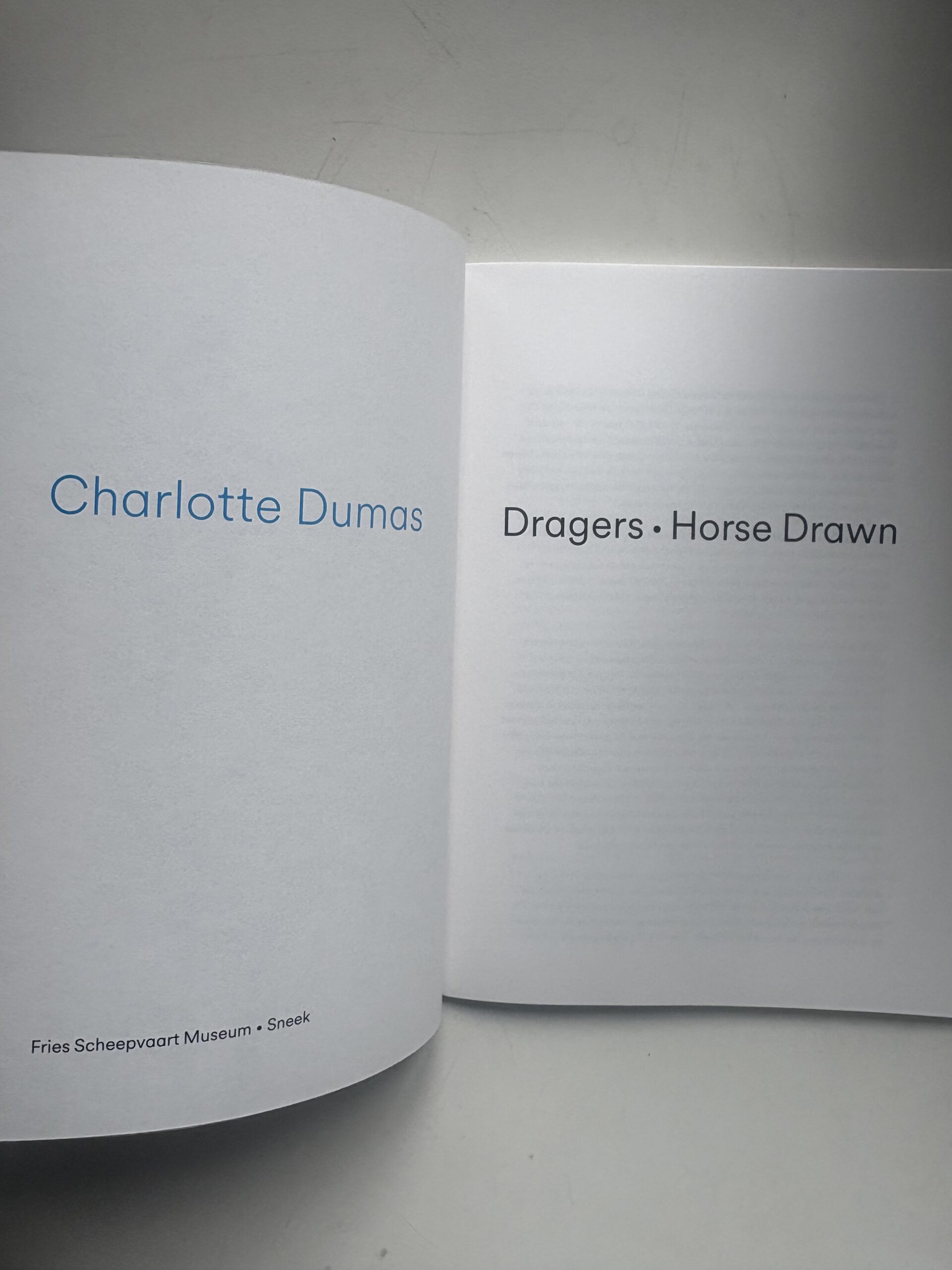Dragers. Horse Dtawn, Charlotte Dumas - Image 4
